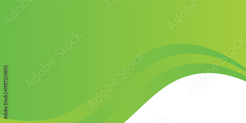 Abstract green curve background. Can be used covers, banners, wallpapers, flyers, brochures, books, print media, cards, web backgrounds. vector