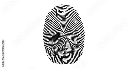Fingerprint Vector Illustration, Detailed Biometric Identification Pattern for Digital Security and Forensic Identity Verification Concepts