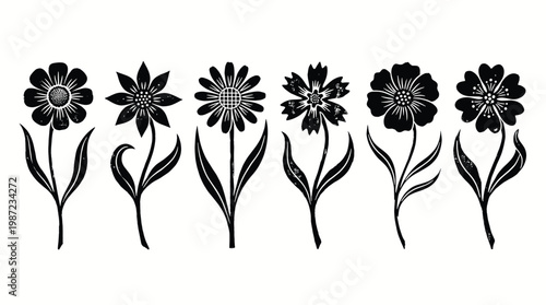 Botanical decorative elements set featuring vintage line, field blossoms, meadow buds, spring stems, and wild petals