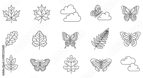 A collection of line drawings of leaves and butterflies isolated on white background, Vector, illustration