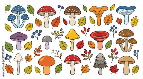 Forest mushroom themed element pack with hand drawn style, colorful fungi, autumn leaves, woodland berries, and foliage