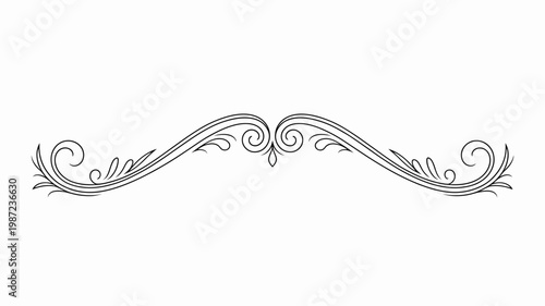 An elegant black and white ornamental flourish design featuring swirling lines and symmetrical curves suitable for decorative purposes high quality professional detailed modern stylish clean crisp