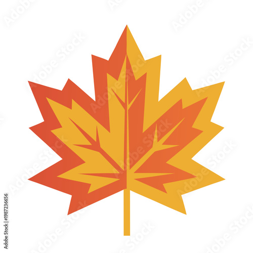 Stylized red and orange maple leaf with plant part leaf shape leaf vein foliage change botanical illustration