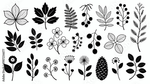 A collection of black and white botanical illustrations featuring diverse leaves flowers berries and coniferous elements in a decorative arrangement high quality professional detailed modern elegant