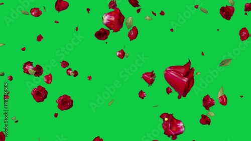 Rose Petal Shower VFX Green Screen Romantic Falling Flowers Effect