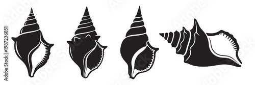 Group of four black silhouette seashell illustrations with white background seashell collectible illustration
