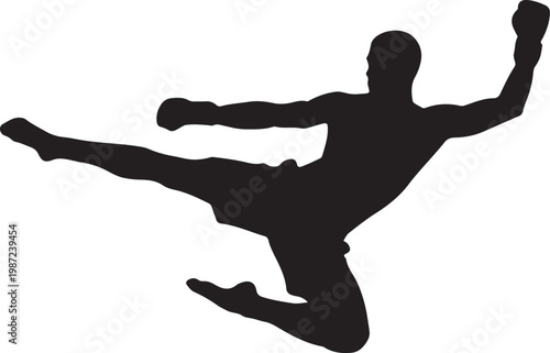 MMA Fighter Performing High Flying Side Kick Silhouette