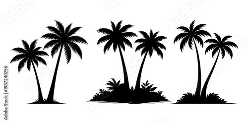 Palm tree silhouette set tropical coconut trees vector