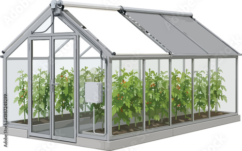Modern Greenhouse with Tomato Plants glass structure