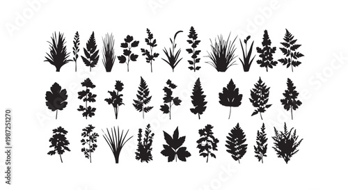Collection of diverse plant and leaf silhouettes showcasing botanical variety for nature and garden design elements.