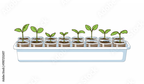 Flat grow tray seedlings vector illustration with greenhouse plant sprouts gardening farming concept