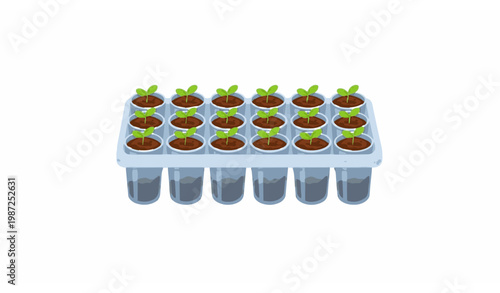 Seedlings in grow tray flat cartoon vector with plant sprouts in plastic cups greenhouse gardening concept
