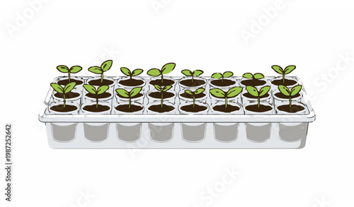 Flat grow tray seedlings vector illustration with greenhouse plant sprouts gardening farming concept