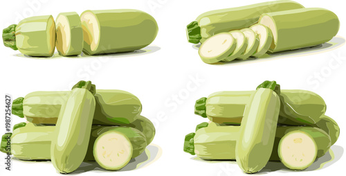 Fresh Zucchini Set Featuring Whole and Sliced Views for Cooking, Vegetable, and Healthy Food Illustration Designs