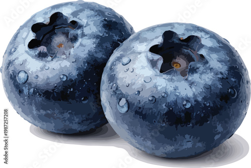 Two blueberries with water droplets on white background