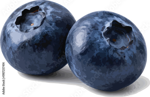 Two ripe blueberries on white background blueberry