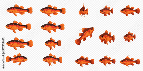 Set of various orange fish illustrations on transparent background.