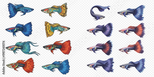 Vibrant collection of colorful guppy fish showcasing diverse patterns and fin shapes.