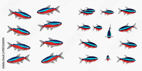 Set of neon tetra fish in various poses and angles, isolated on transparent background, showcasing different views of the aquatic animal.