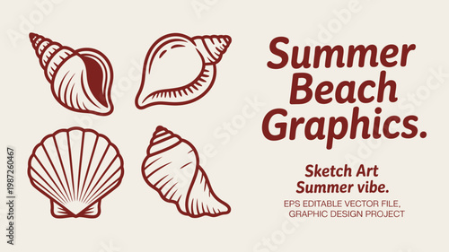 A collection of four detailed reddish brown seashell illustrations alongside the text summer beach graphics and sketch art summer vibe high quality professional modern elegant stylish