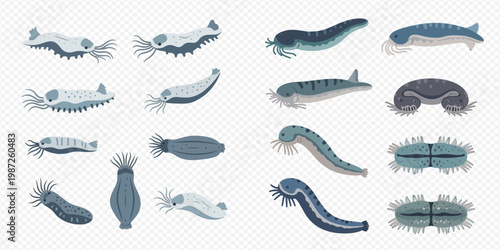 Set of various prehistoric marine animals and ancient sea creatures on a transparent background.