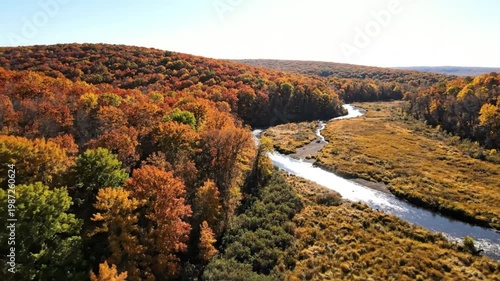 Aerial view of a winding river flowing through a lush autumn forest with vibrant fall foliage under a clear blue sky