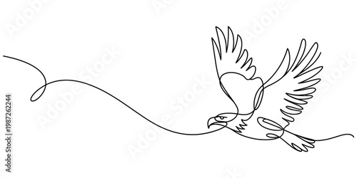 A minimalist single continuous line drawing of a majestic flying eagle on a plain white background Vector, illustration