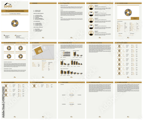 Modèle d'avis de valeur immobilière, document estimation de bien immobilier, template professionnel agent immobilier, mise en page vectorielle