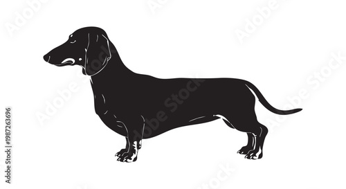 Dachshund dog silhouette standing profile view long hair breed pet animal illustration for logo design vector graphics.