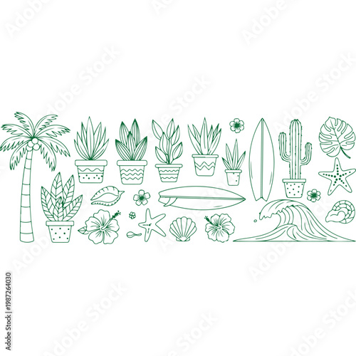 A collection of beachy plants and surfboards