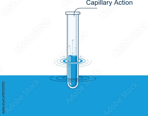 Capillary action demonstration in a test tube with surface tension
