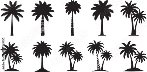 Collection of tropical palm tree silhouettes featuring various species of exotic coconut and date trees for summer vacation design work.