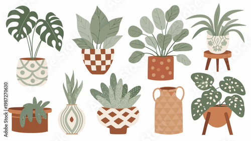 A collection of illustrated houseplants in various decorative pots