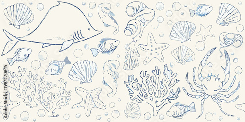 Sketch of marine life including fish shells coral and a crab