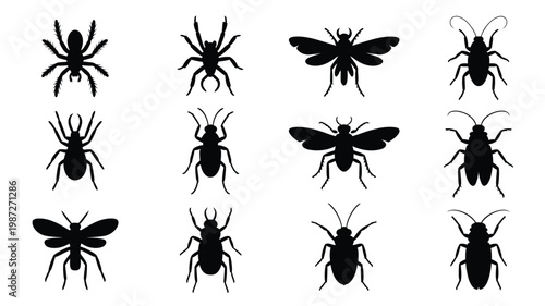 Black insect silhouettes including spiders beetles and flies isolated on a white background for pest control and entomology design
