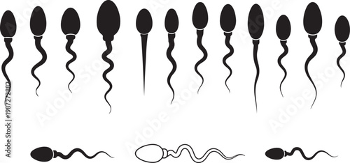Collection of human sperm cell silhouettes in various swimming positions and shapes for reproductive biology and medical education.