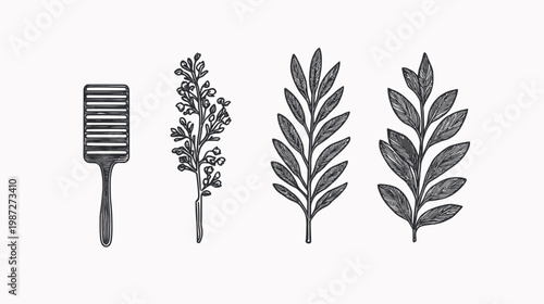 Hand-drawn botanical elements, including a comb and various floral sprigs in grayscale on a white background