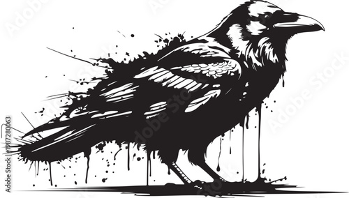 Bird graffiti silhouette, eagle grunge icon, crow spray wall art symbol, grafitti tag isolated. Black Ink Crow Street Art