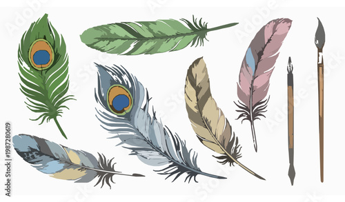 Hand drawn colorful feather collection with peacock inspired plumage, quill pen and decorative brush elements vector illustration isolated on white background