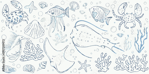 A collection of hand drawn marine life and seashell illustrations in blue