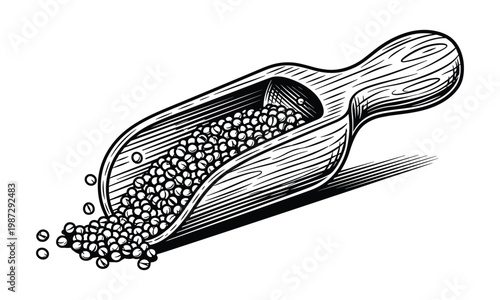 Wooden scoop with scattered lentils or peas isolated on transparent background vector.