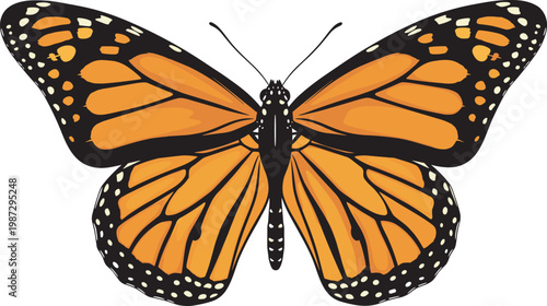 Detailed black and white flat vector illustration collection of grizzly bear mascots including roaring heads and powerful standing animal figures.