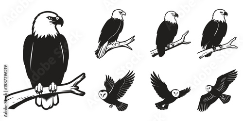 7 Flying Owl And Perched Eagle Silhouette Vector Set