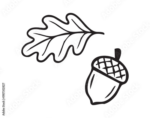 Oak leaf and acorn symbolizing autumn harvest and woodland foraging, rustic nature motif seasonal detail for craft or botanical study, crisp foliage tones and seed ready for germination