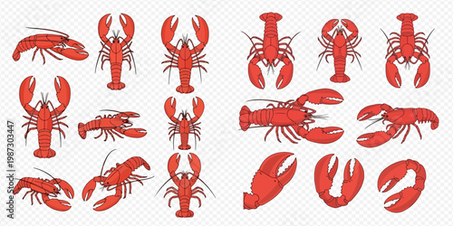 Collection of red lobsters and claws in various poses, perfect for seafood designs.