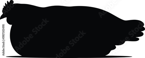 Silhouette of a plump chicken standing on a white background.