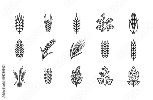 Vector line icons of diverse cereal grains and crops. Perfect for food, agriculture, and healthy eating themes. Clean, minimalist design.