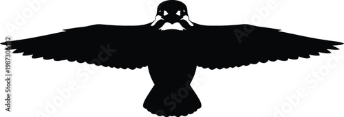 Silhouette of a bird of prey with wings spread wide.