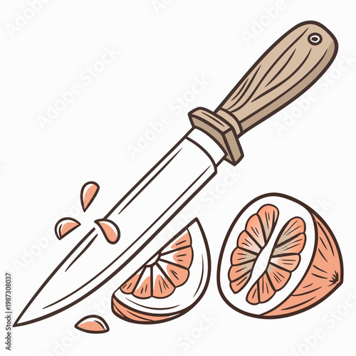 Fruit cutting knife isolated on white background vector illustration
