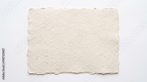 A rectangular sheet of handmade paper with rough deckle edges and a visible fibrous texture